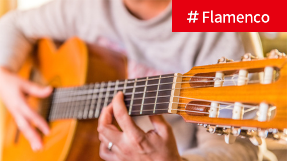 フラメンコギターレッスン